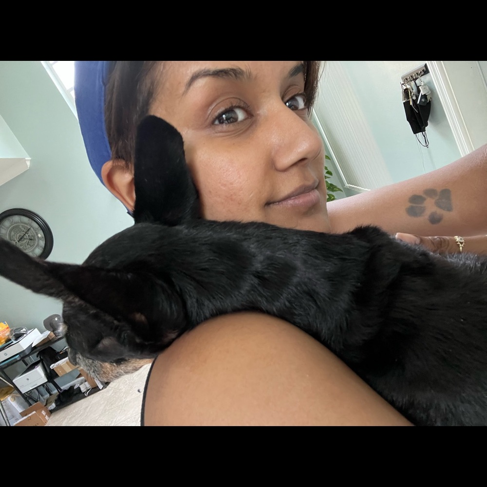 Meet your Posher, Sheena